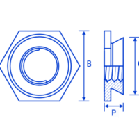 FSUK-FLUSH — Plan